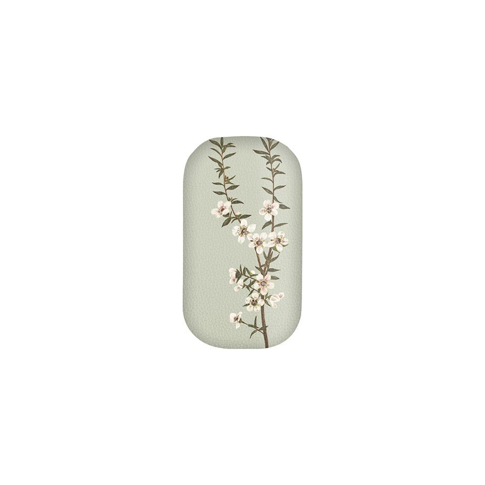 Trinket Box - Mānuka