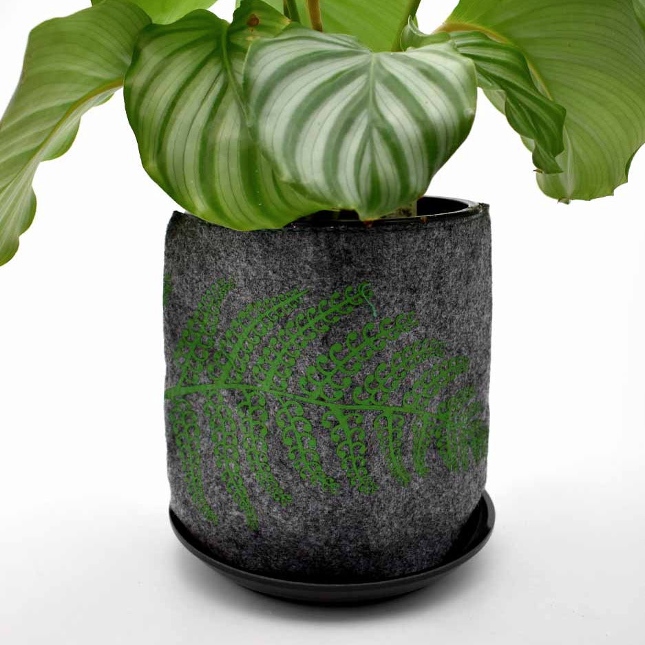 Eco Felt Growbag - Silver Fern (Green)