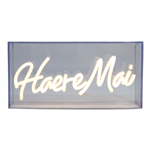 Te Reo Neon Light - Haere Mai