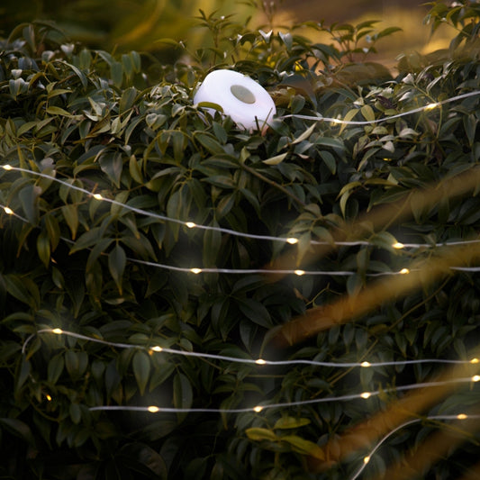 Moana Rd Camping Lights