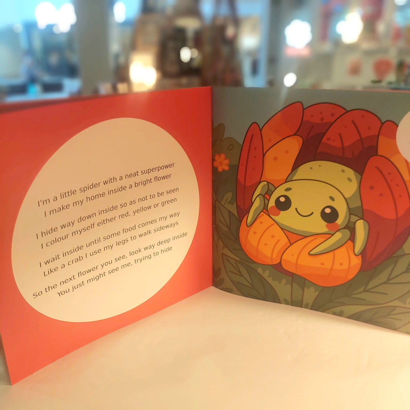 Book - Spider Friends of Aotearoa