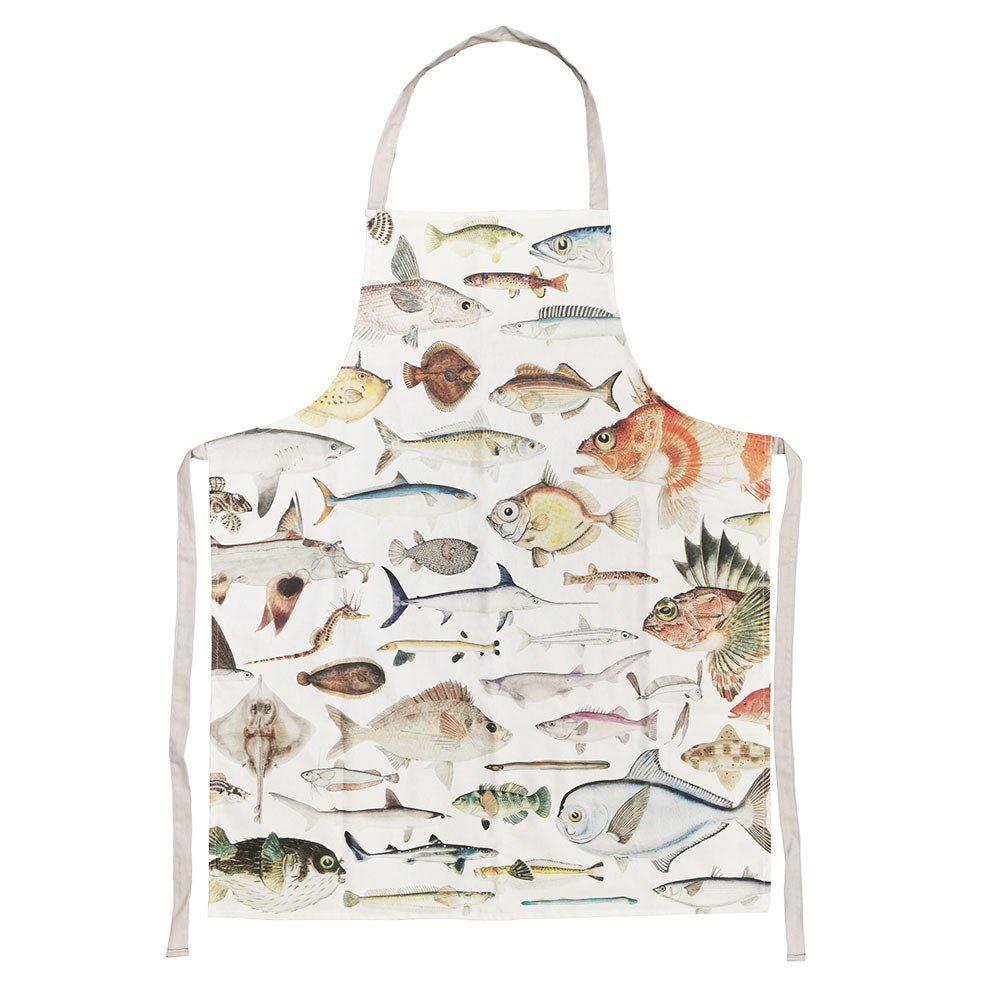 Apron - Fishes of NZ