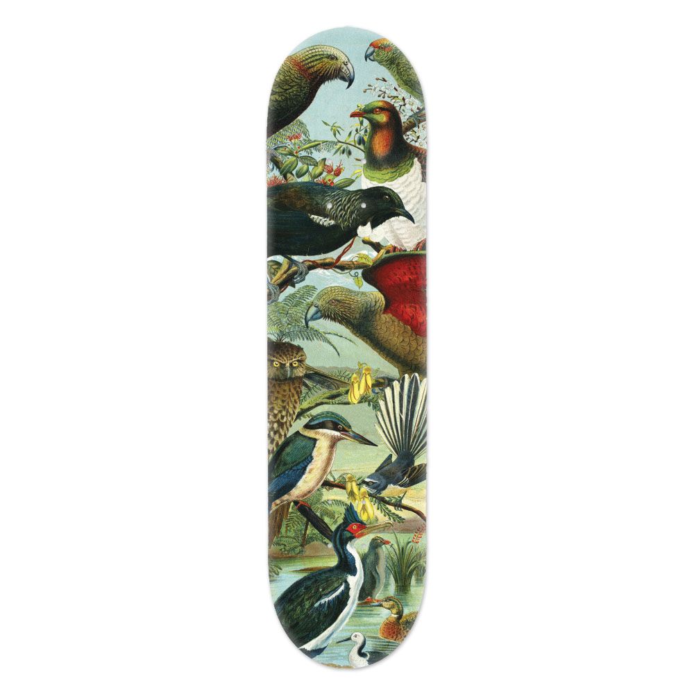 Skate Deck Wall Art - NZ Native Birds