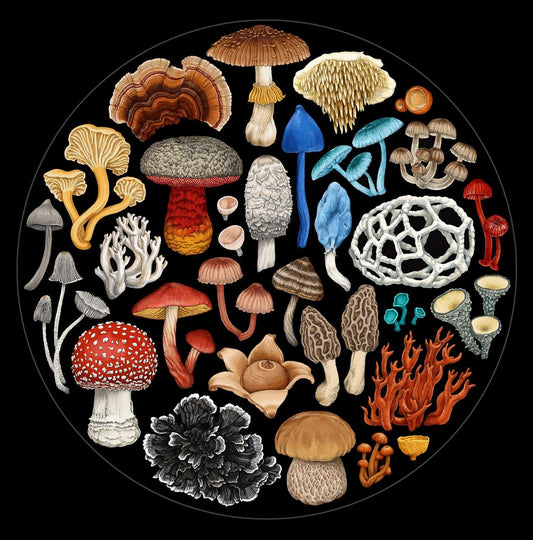 Jigsaw Puzzle - Mushrooms of New Zealand
