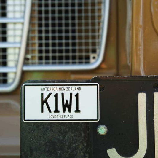 Kiwiana Number Plate Magnets