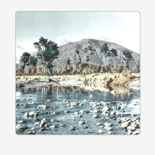 Cushion Cover Clearwater