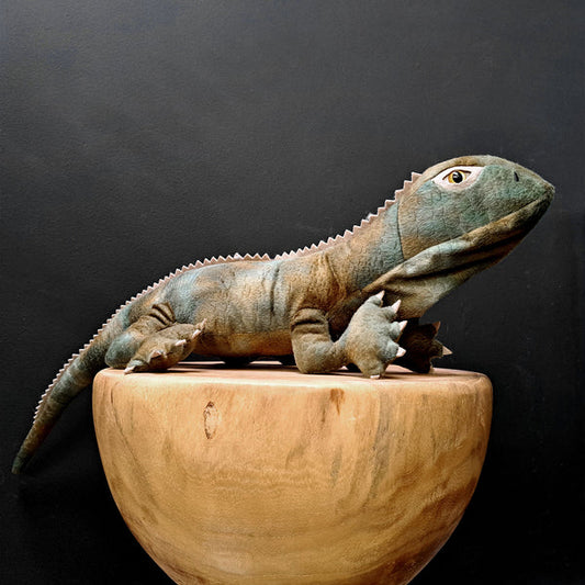 Trevor the Tuatara Soft Toy