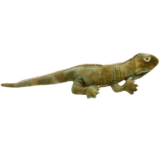 Trevor the Tuatara Soft Toy