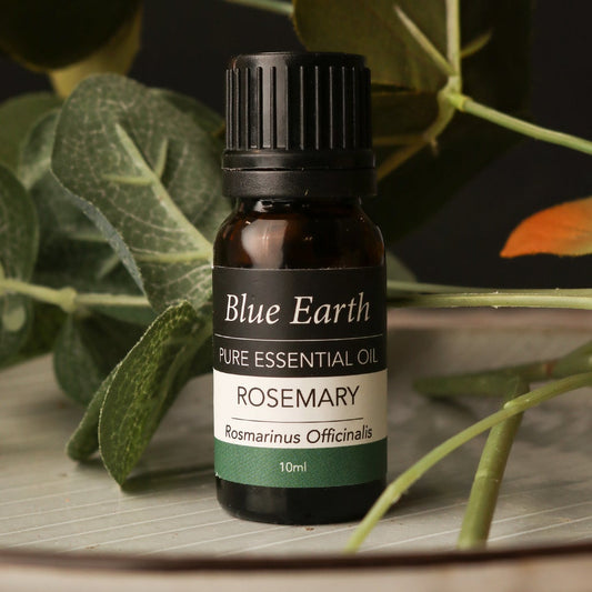 Blue Earth Essential Oil - Rosemary