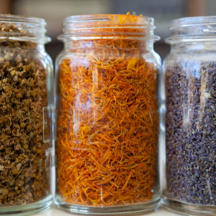 Blue Earth Essential Oil - Juniper Berry