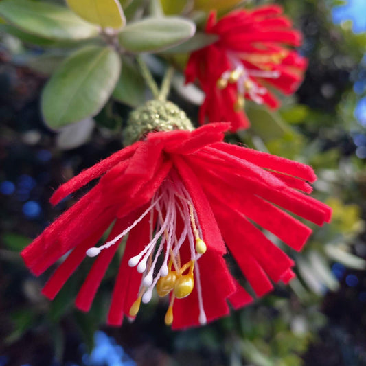 Pōhutukawa Flower Decoration