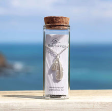 Little Taonga - Silver Huia Feather Necklace