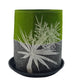 Eco Felt Growbag - Tī Kōuka (green)