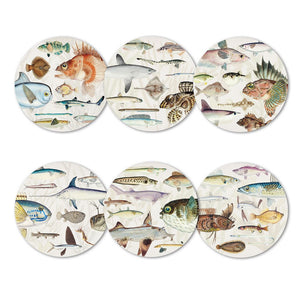 NZ Native Fish Coaster Set