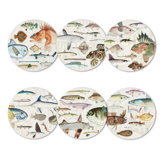 NZ Native Fish Coaster Set