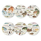 NZ Native Fish Coasters - Set of 6