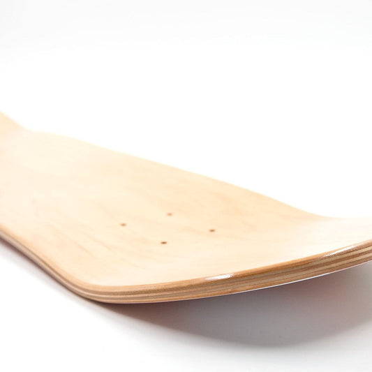 Skate Deck Wall Art - NZ Native Birds
