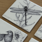 Ceramic Coaster - Kapokapowai / Dragonfly (Katy Hayward)