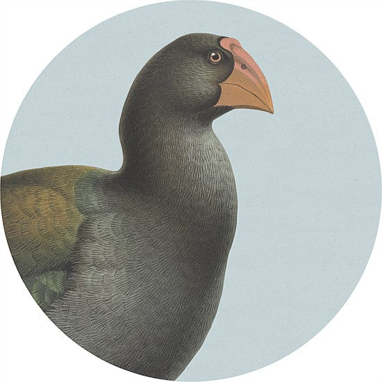 Placemats - Native Birds