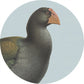 Placemats - Native Birds