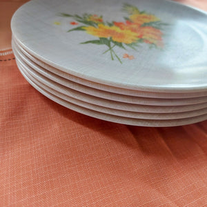 Duraware Retro Plate Set 6