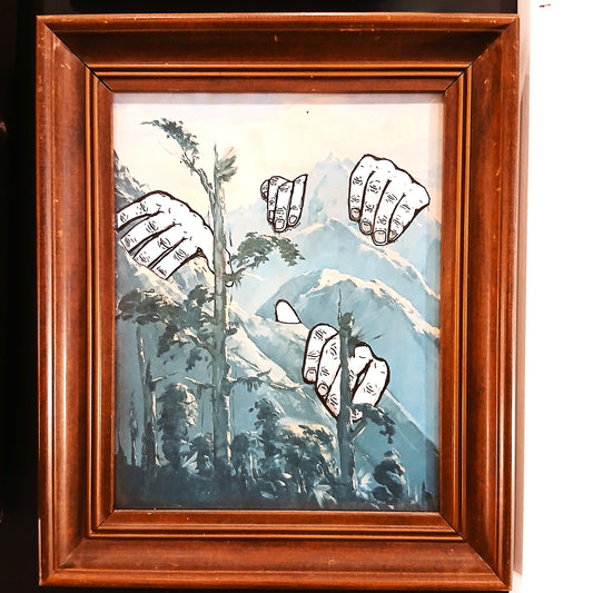 Moth Box - Hollyford Valley