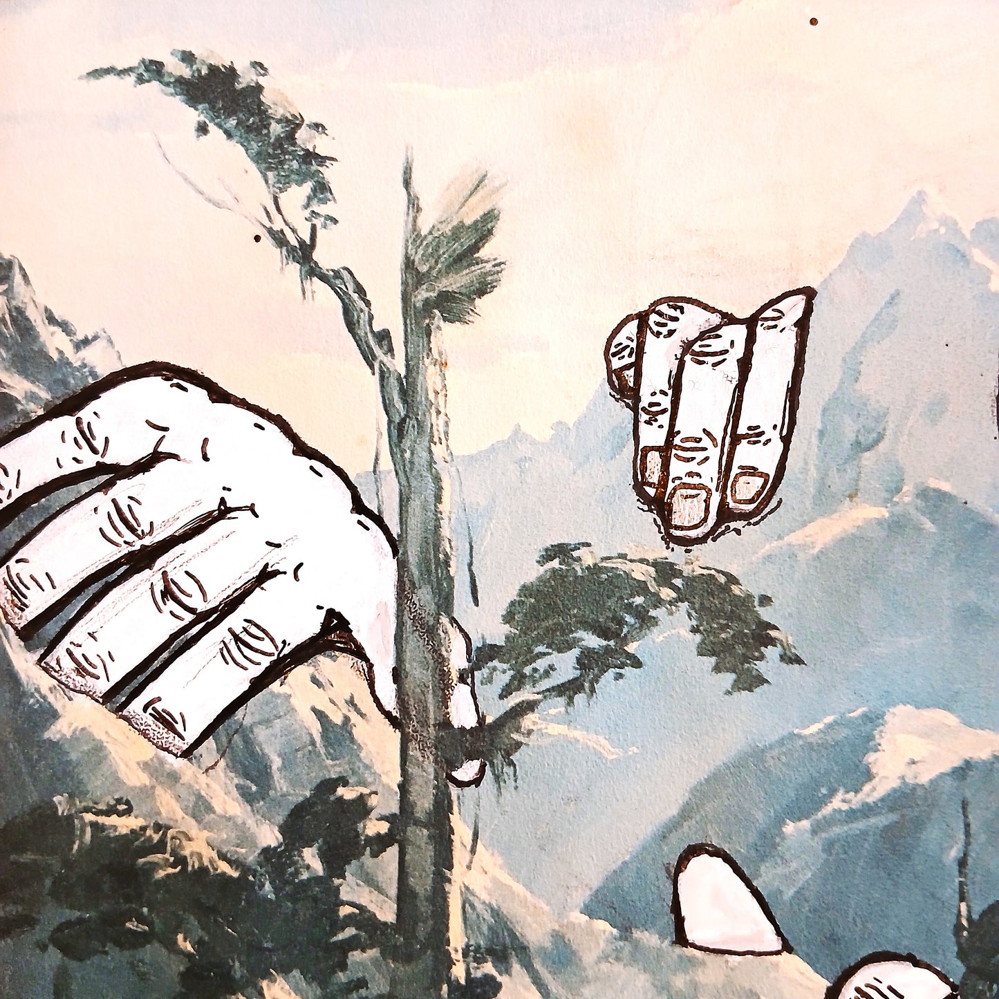 Moth Box - Hollyford Valley