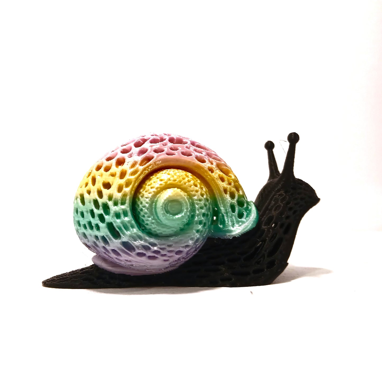3D-Printed Snails