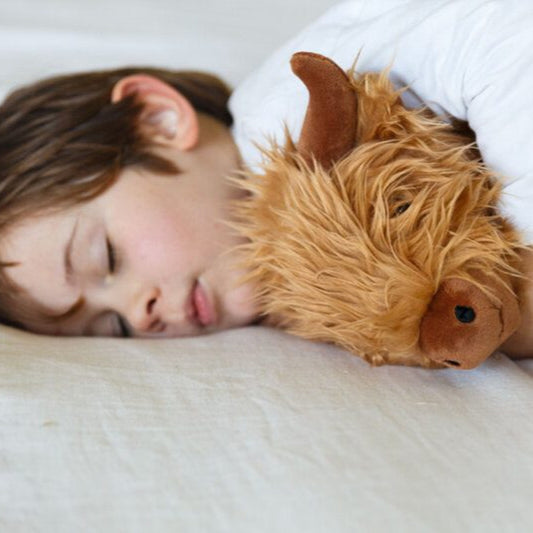 Hamish the Highland Cow Soft Toy
