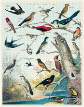 Load image into Gallery viewer, Cavallini &amp; Co 1000pc Bird Puzzle
