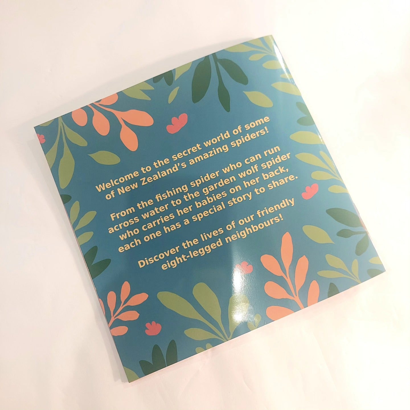 Book - Spider Friends of Aotearoa