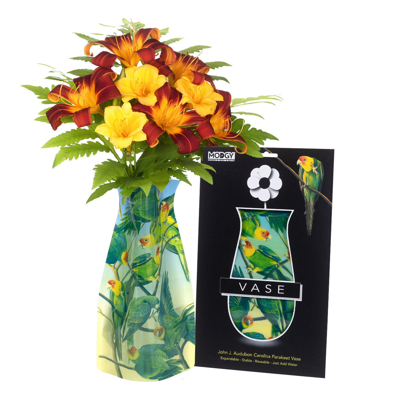 Expandable Flower Vase - Carolina Parakeets
