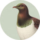 Placemats - Native Birds