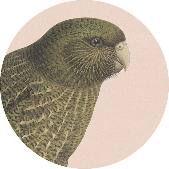 Placemats - Native Birds