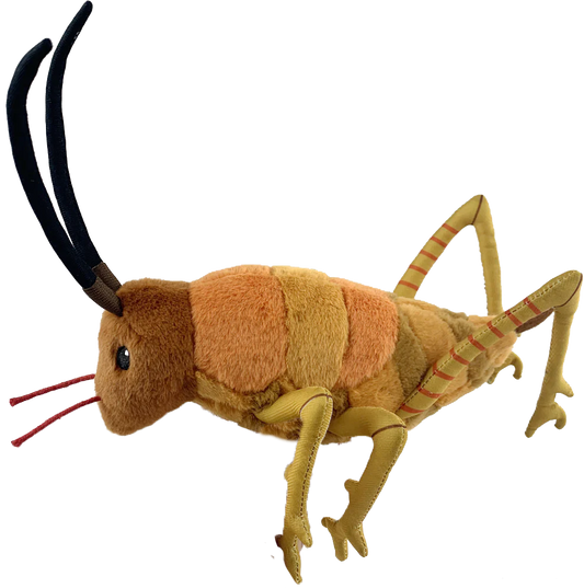 Soft Toy - Wiremu the Weta