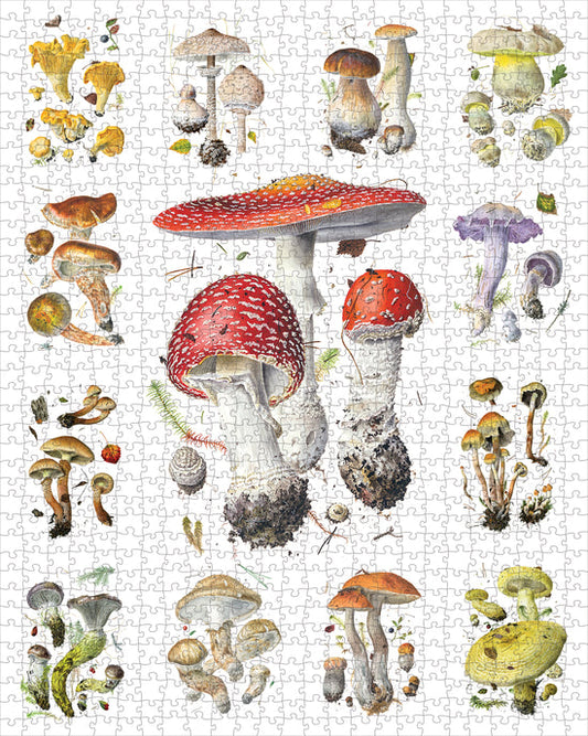 Jigsaw Puzzle - Mushrooms