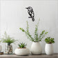 Crystal Ashley Wall Art - Koru Kingfisher