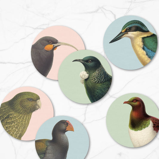 Native Bird Coaster Set of 6