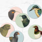 Native Bird Coasters -  Set of 6