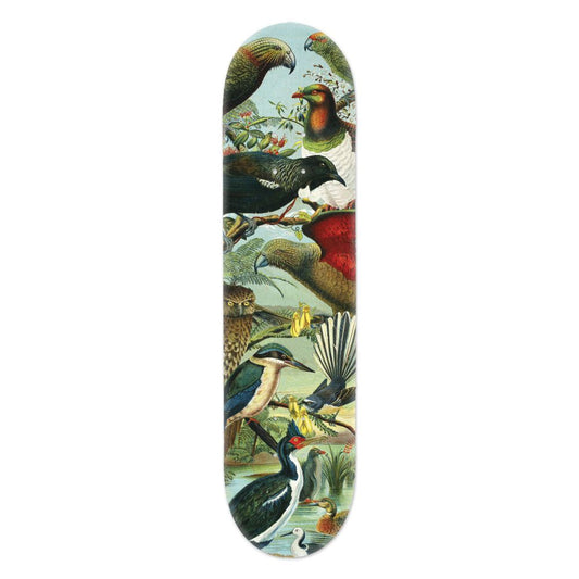 Skate Deck Wall Art - NZ Native Birds