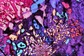 Microscopic Photography - Granophyre I