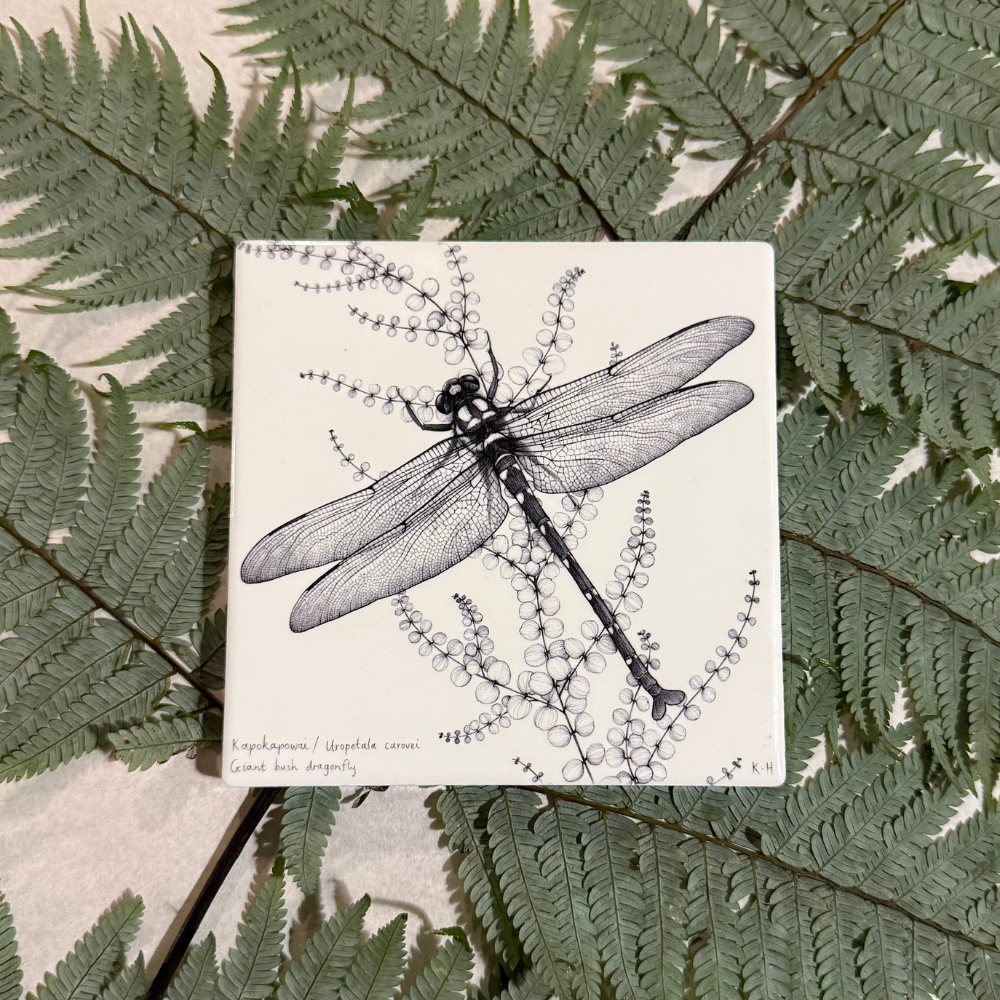 Ceramic Coaster - Kapokapowai / Dragonfly (Katy Hayward)