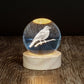LED Light-Up Globe - Tūī