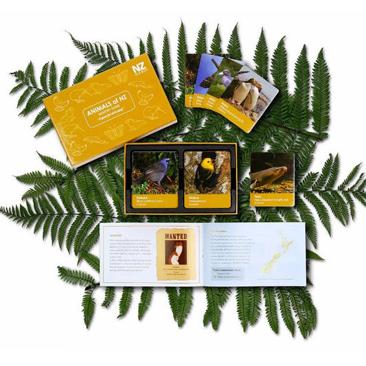 NZ Memory Game