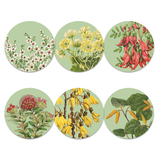 Native NZ Botanical Placemats Set 6