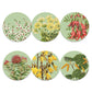 Placemat Set - Native NZ Botanicals