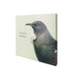 Placemat Set - Native Birds