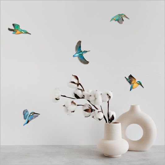 Pop Out - Kingfisher Set