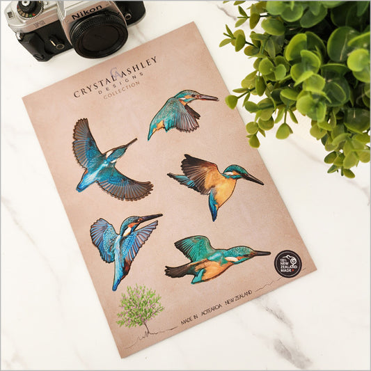 Pop Out - Kingfisher Set
