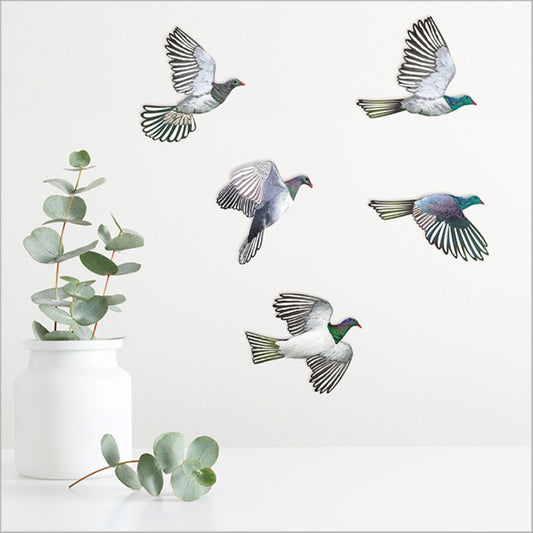 Pop Out - Kererū